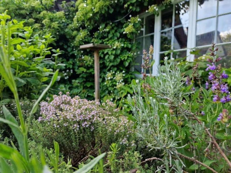 Piddle Puddle Cabin Dorchester Bagian luar foto