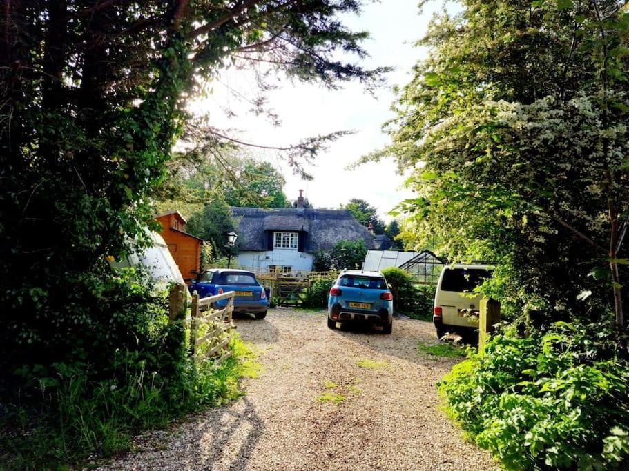 Piddle Puddle Cabin Dorchester Bagian luar foto