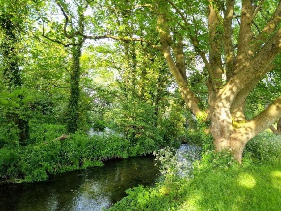 Piddle Puddle Cabin Dorchester Bagian luar foto
