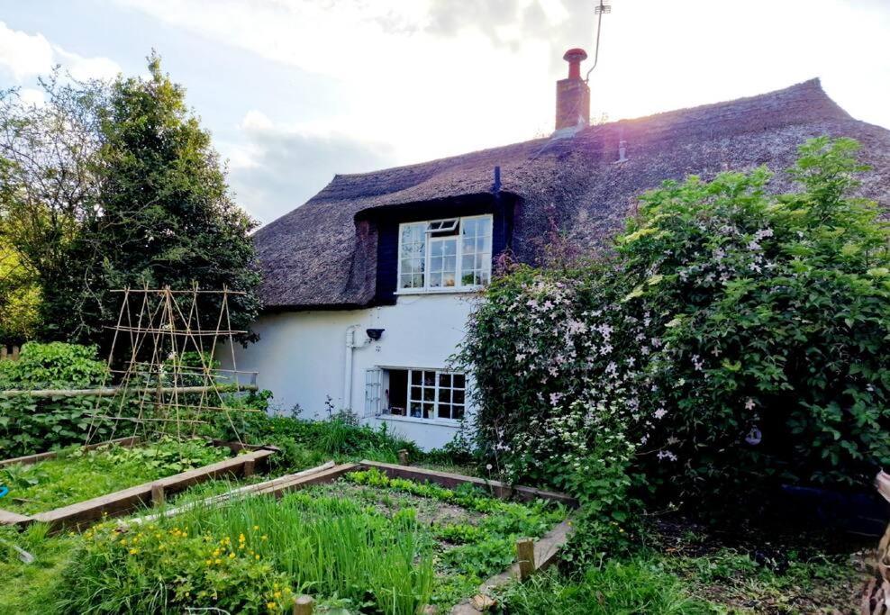 Piddle Puddle Cabin Dorchester Bagian luar foto