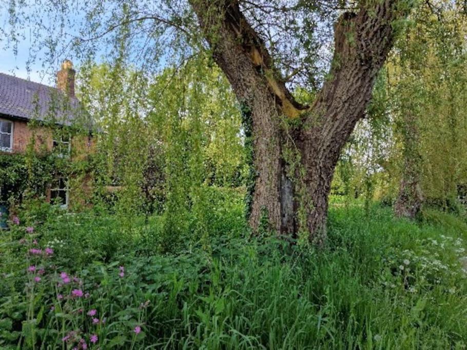 Piddle Puddle Cabin Dorchester Bagian luar foto
